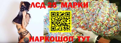 ALPHA PVP Гатчина