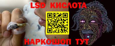 ALPHA PVP Гатчина