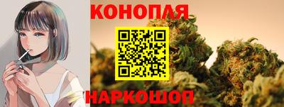 ALPHA PVP Гатчина