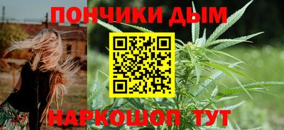 ALPHA PVP Гатчина