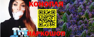 ALPHA PVP Гатчина