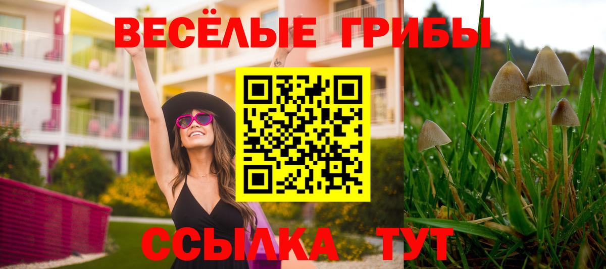 Галлюциногенные грибы MAGIC MUSHROOMS  Вход с VPN  Оренбург  Галлюциногенные грибы Psilocybe 